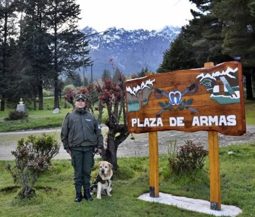 Mark, el perro antinarcóticos, inicia una nueva vida con su guía tras ocho años de servicio