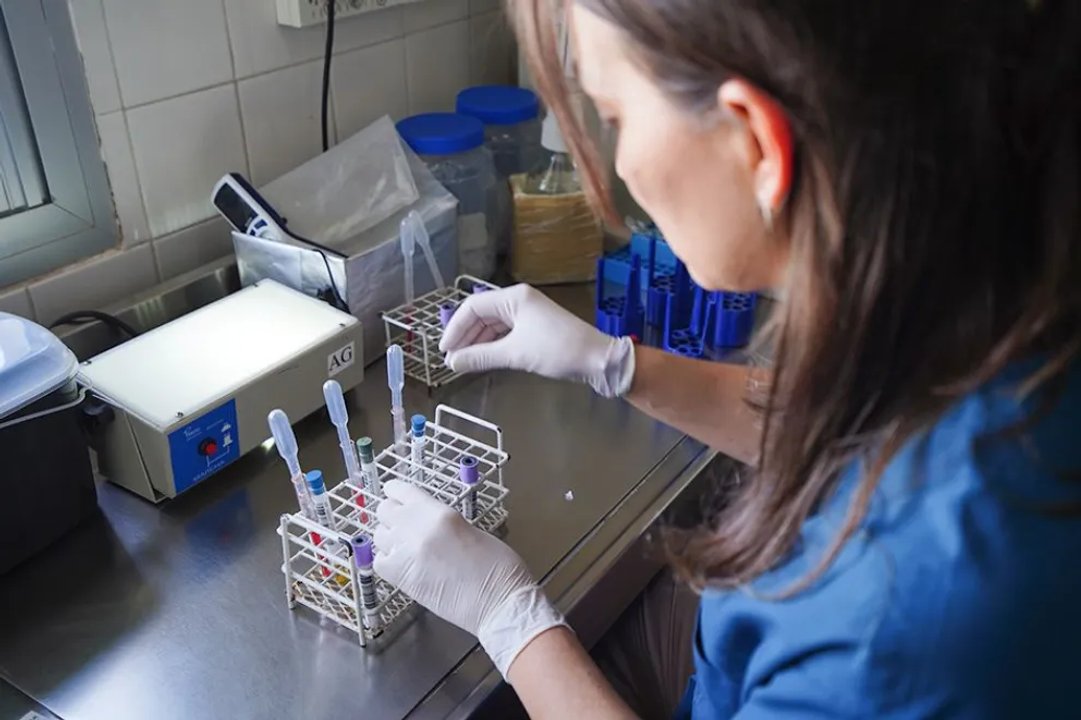 Neuquén incorpora nuevos profesionales y reorganiza hospitales