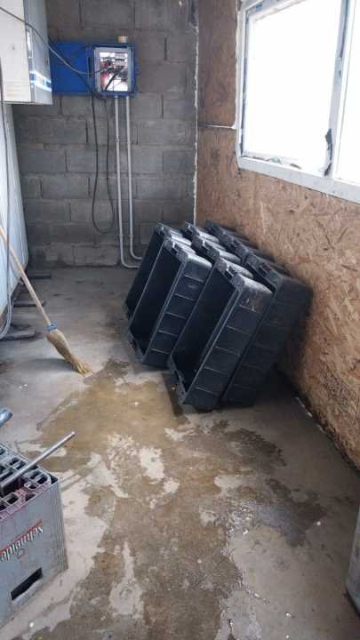 Secuestraron carne de puma y guanaco en un operativo en Esquel