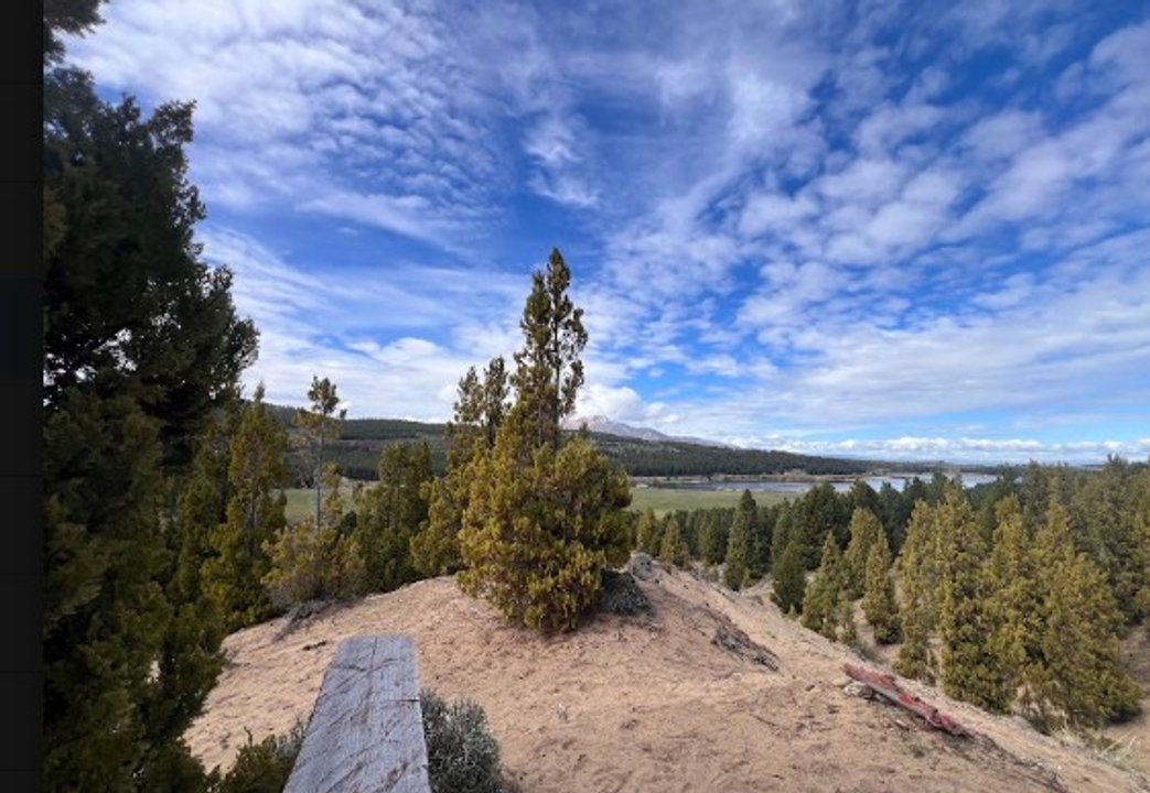 Descubre el Sendero Cipresal en Esquel: un paseo entre cipreses únicos