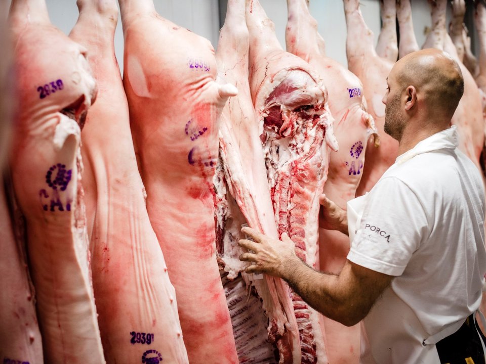 La carne de cerdo se vuelve más accesible, con ventas en alza