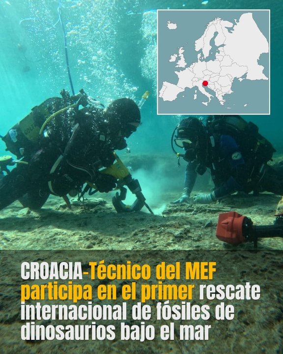 Investigador chubutense participa en el primer rescate mundial de fósiles marinos
