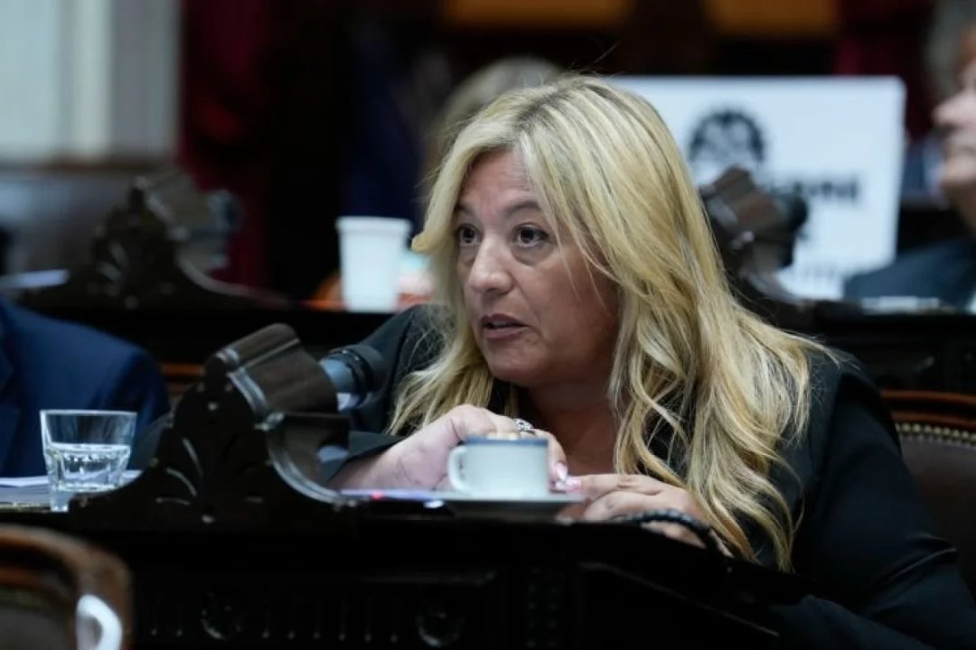 Maureira se opone a la Ley de Inviolabilidad de la Propiedad Privada